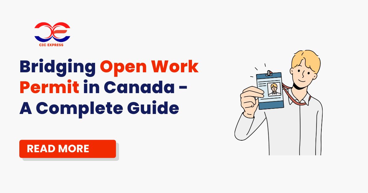 Bridging Open Work Permit In Canada – A Complete Guide